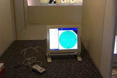 IMAG1140-Stor